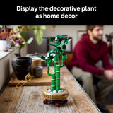 LUCKY BAMBOO - 10344