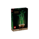 LUCKY BAMBOO - 10344