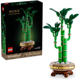 LUCKY BAMBOO - 10344