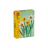 DAFFODILS - 40747