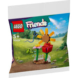 FRIENDS FLOWER GARDEN - 30659