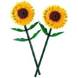 SUNFLOWERS - 40524