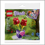 FRIENDS TULIPS - 30408